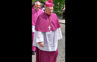 Bishop Tadeusz Rakoczy, bishop of Bielsko-Żywiec, Poland, from 1992 to 2013. Stanislao via Wikimedia (CC BY-SA 3.0)